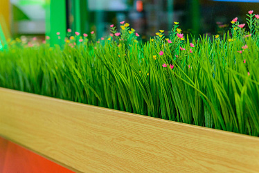 Oil shop, �. ������