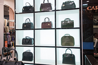 CARLO PAZOLINI, �. ���������, �� ���������